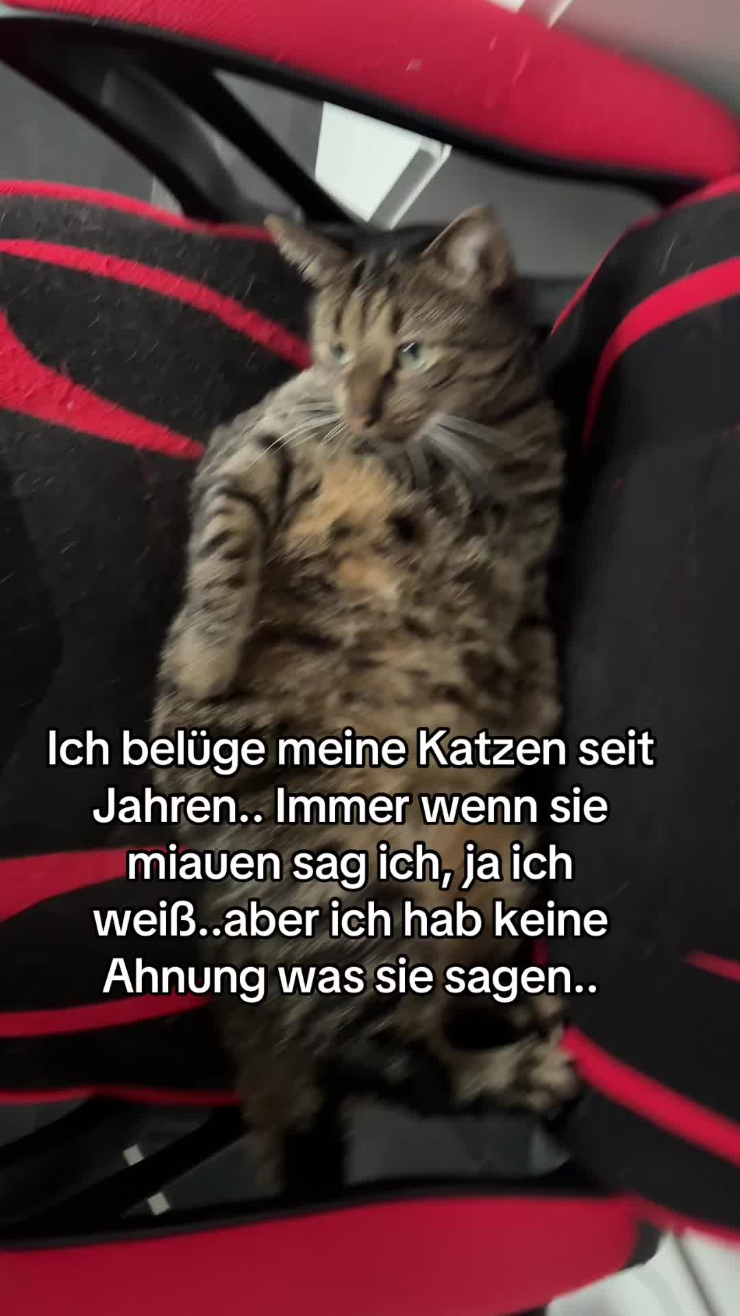 @Happykittycats_