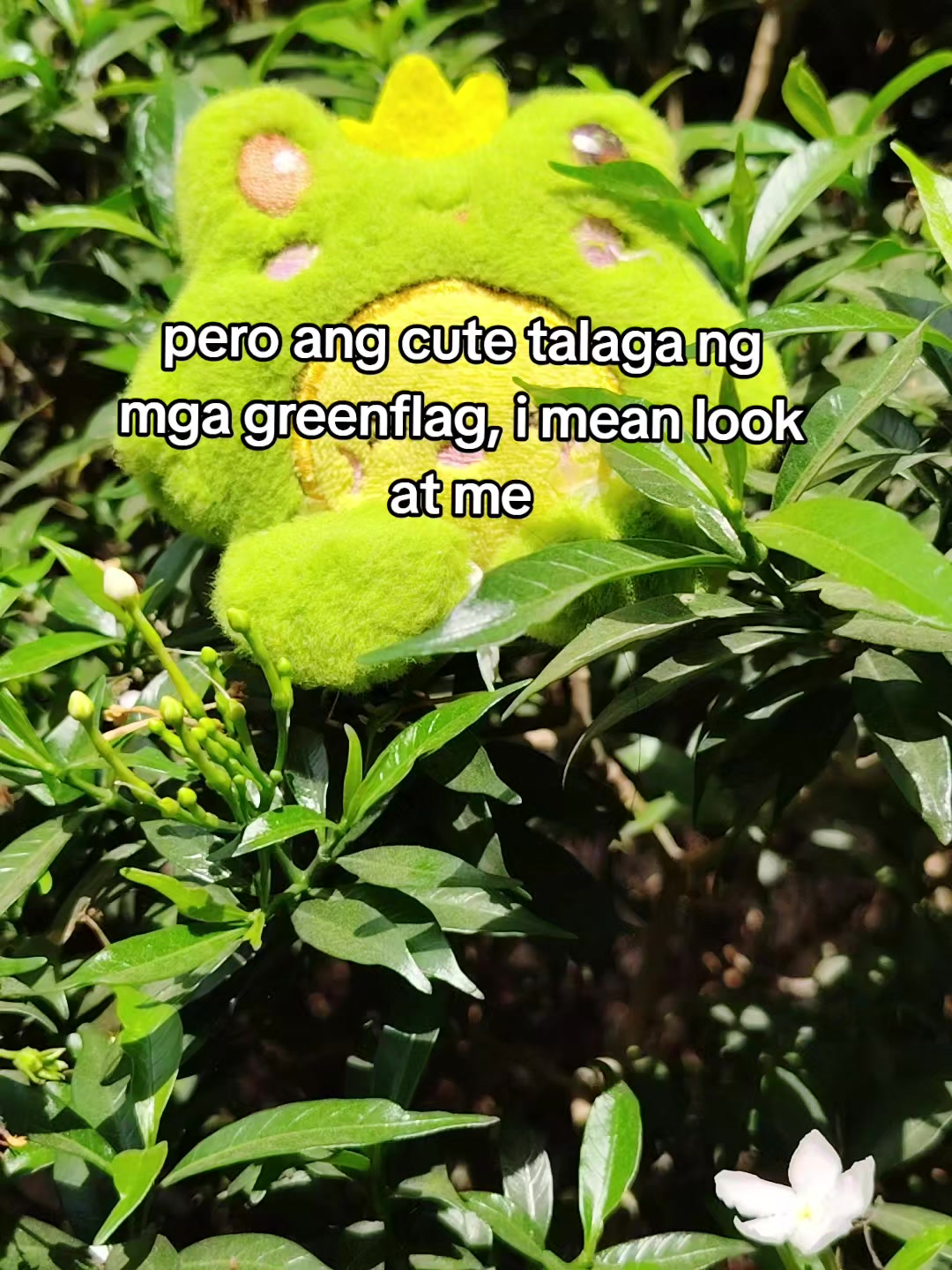 @โ. ๐ ห๐ฆข