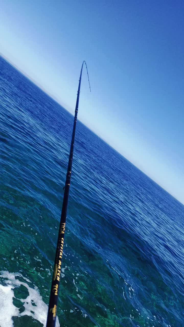 @FISH BROS