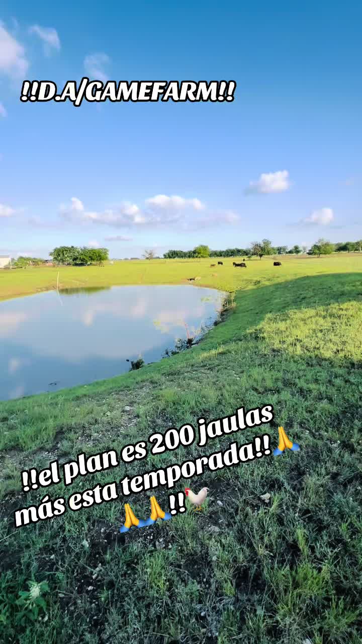 @DAgamefarm