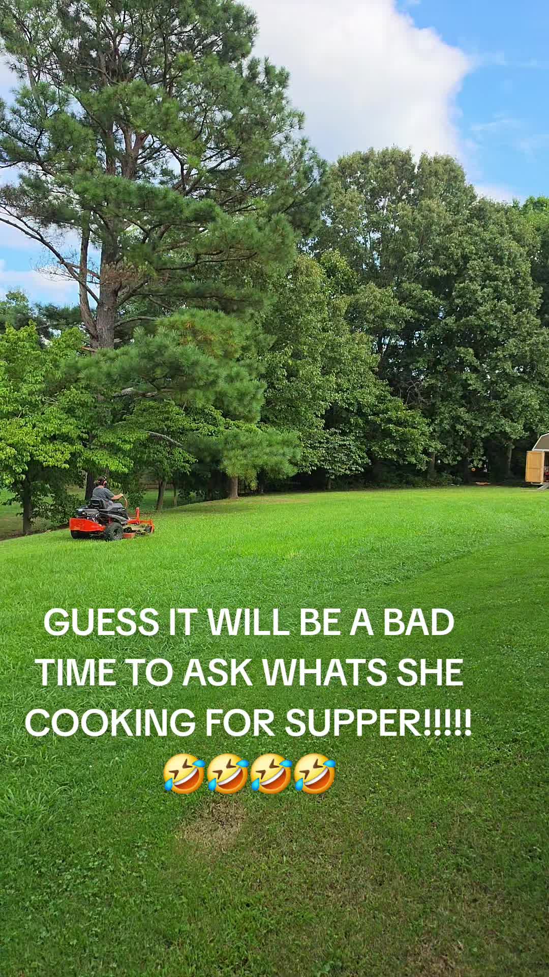 @TNCOUNTRYBOY31