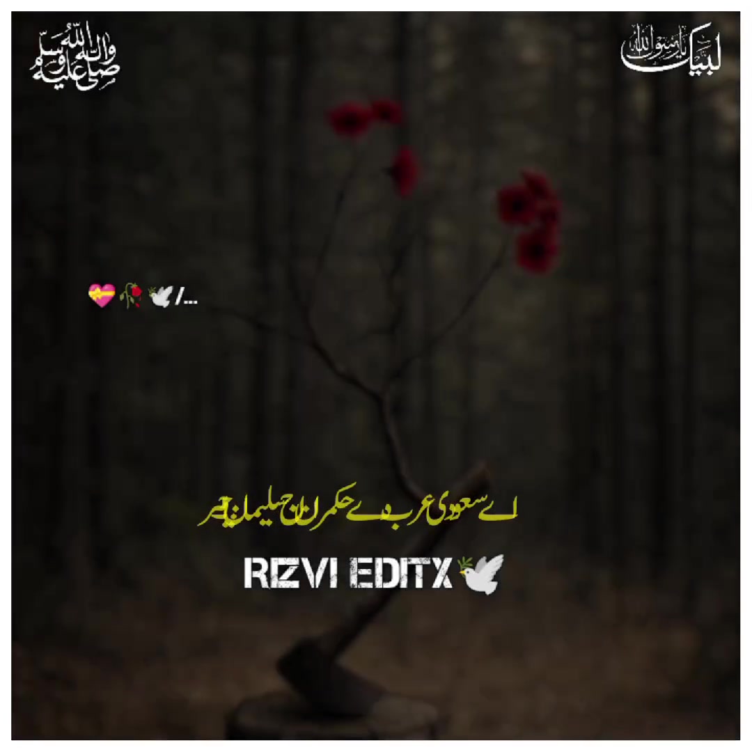 @Rizvi editx 🕊️