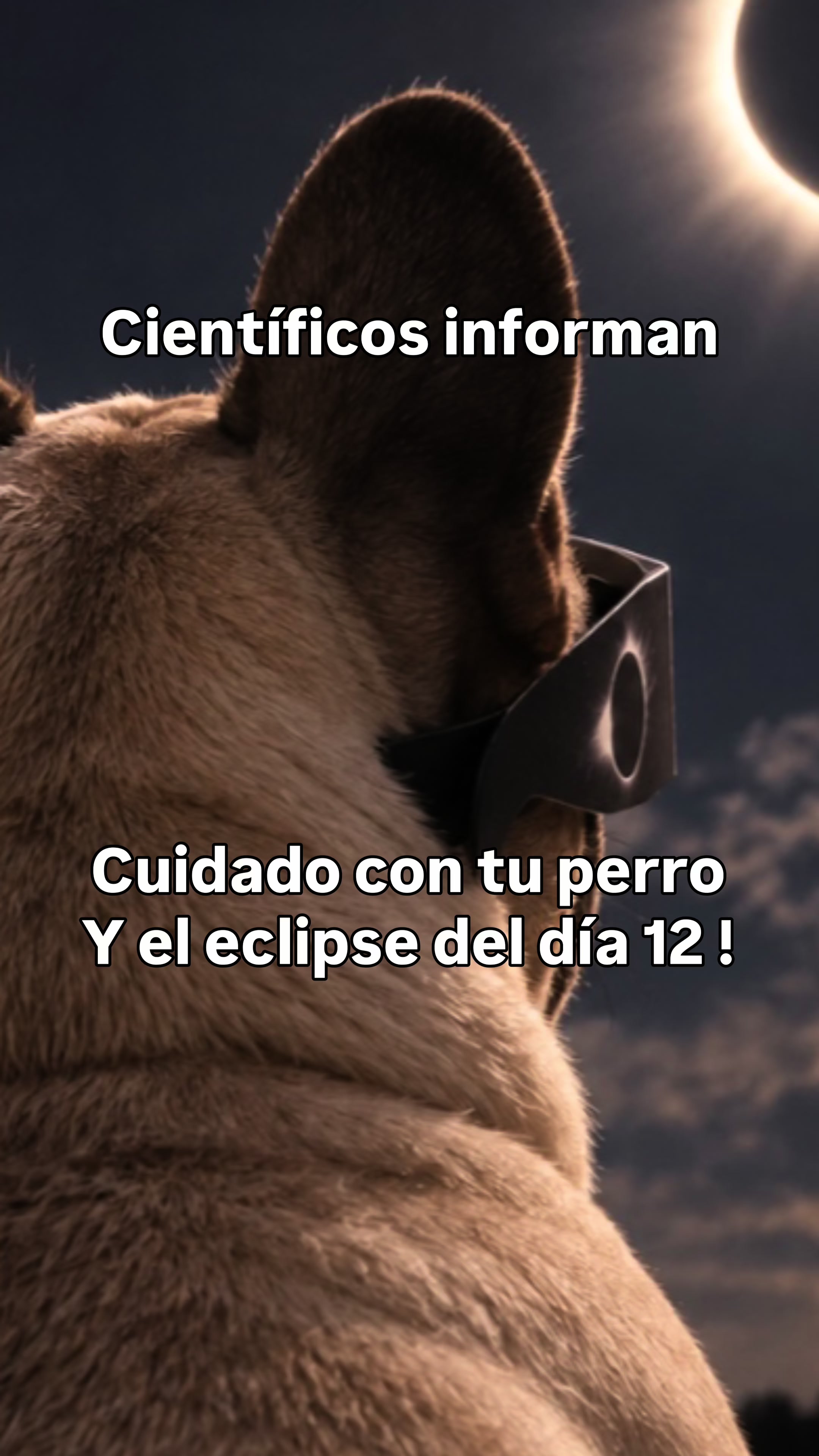 @Teamocerdito