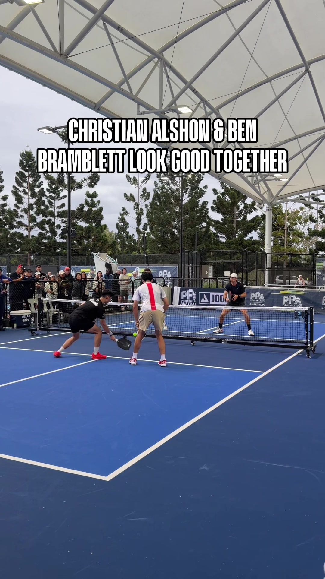 @pickleballdotcom