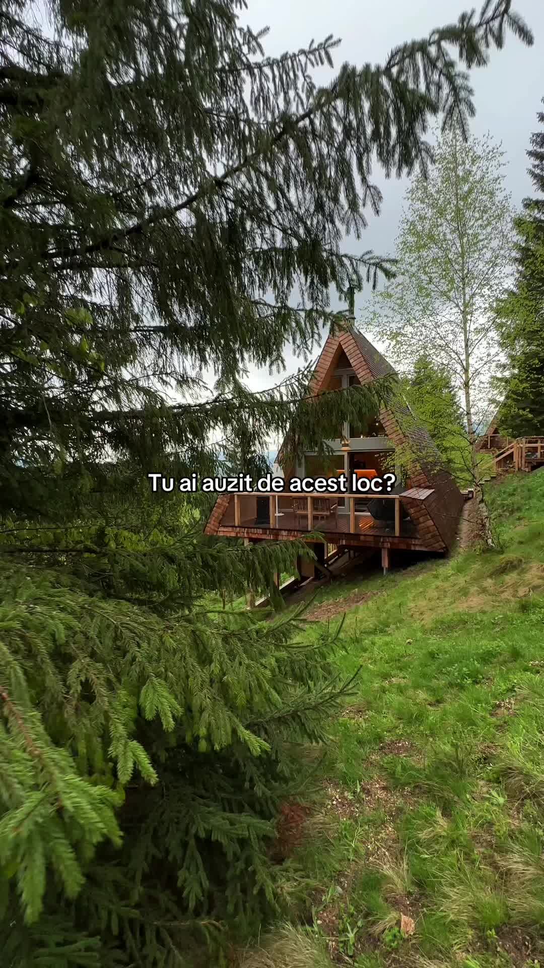 @Strajerii Verzi