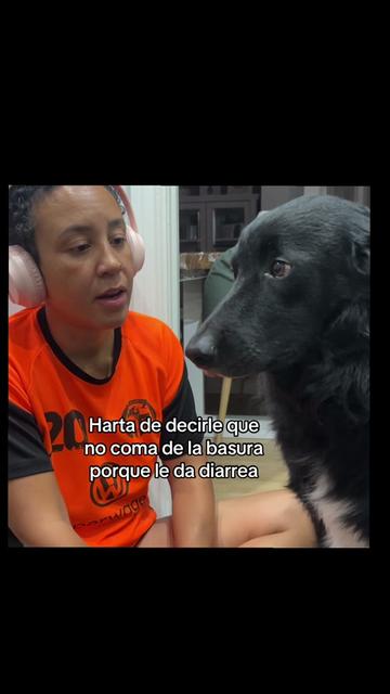 @Luiggi the Dog