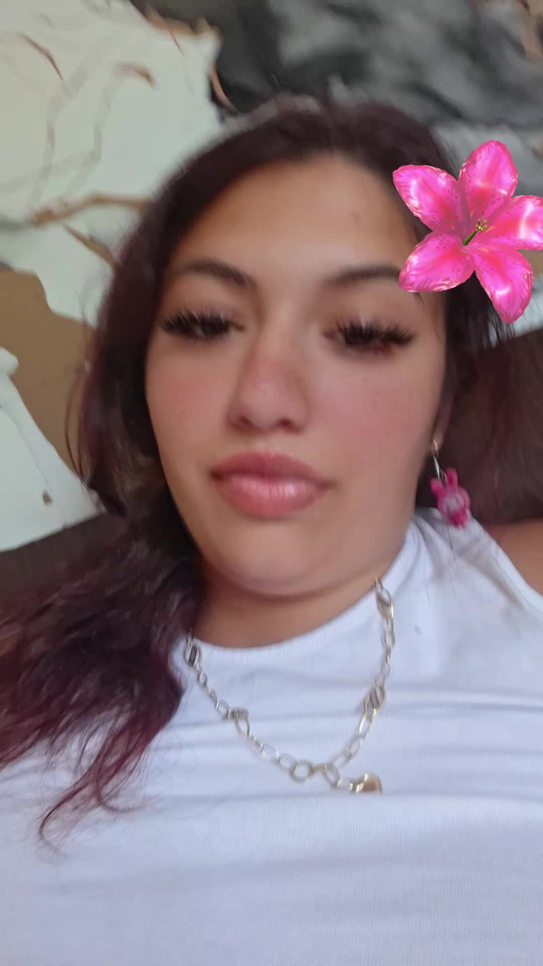 @preda nicoleta preda
