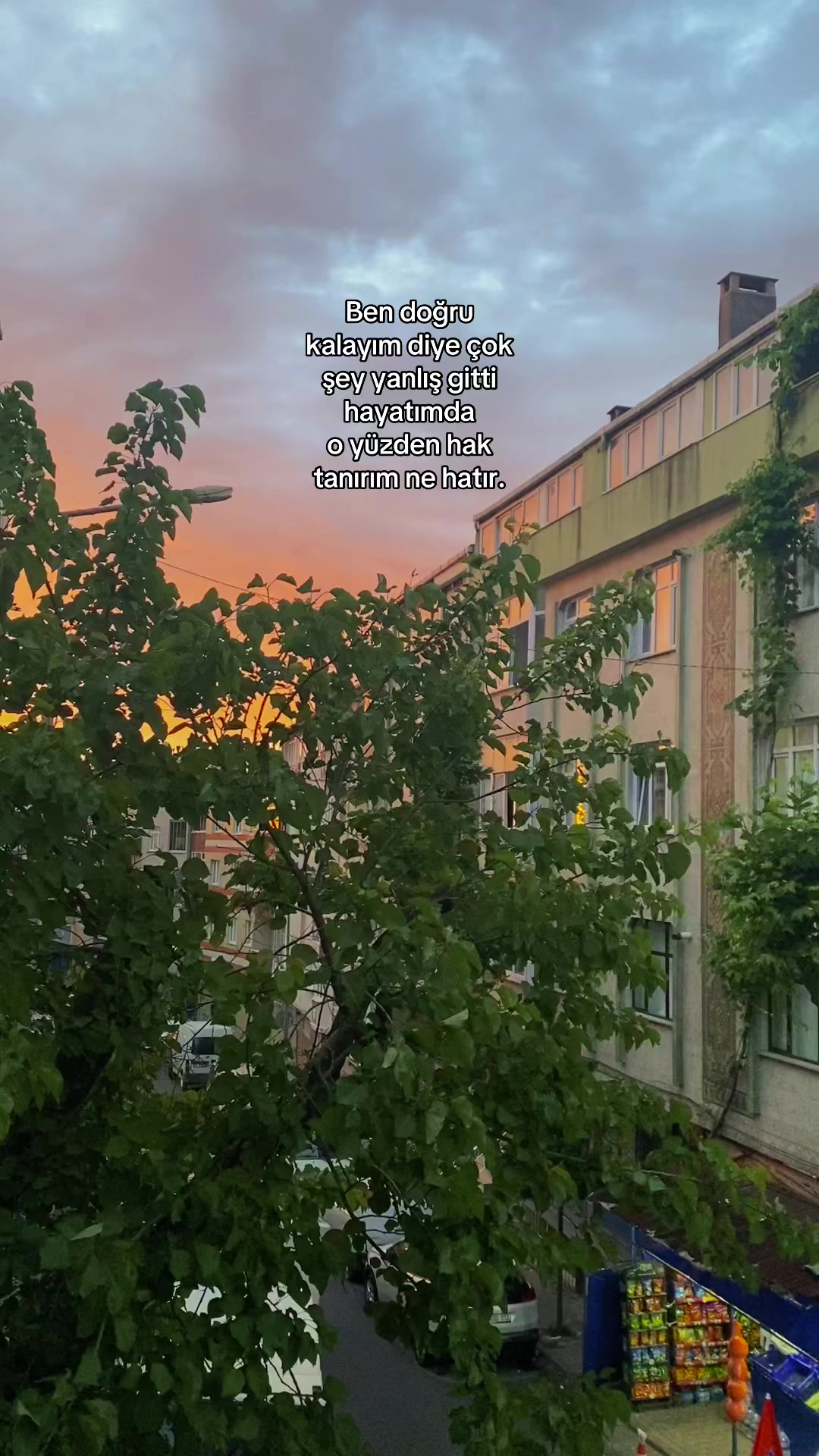 @Müjge 🌼