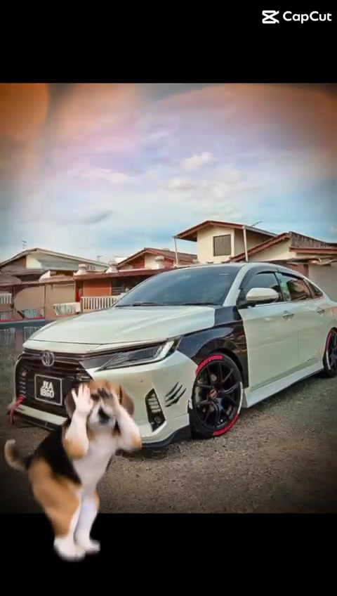 @้ฟ็ปดๅ
ไป๐๐โ