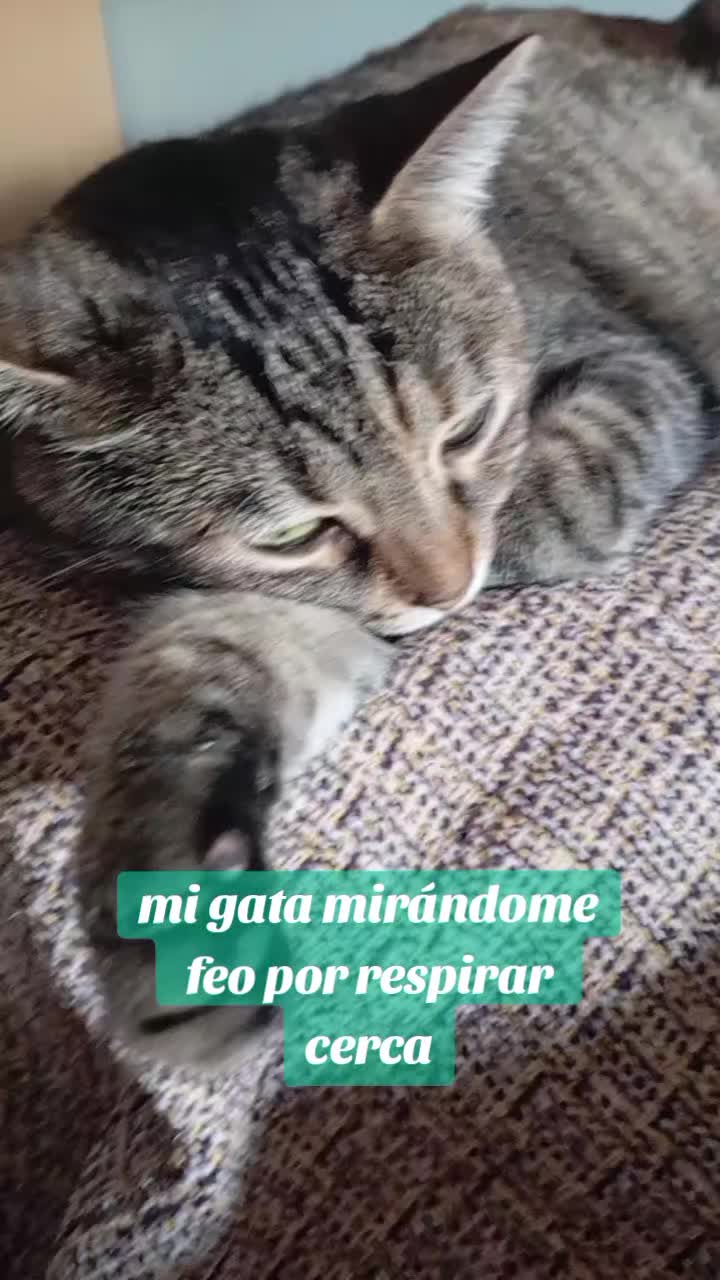 @Rosi Ramos