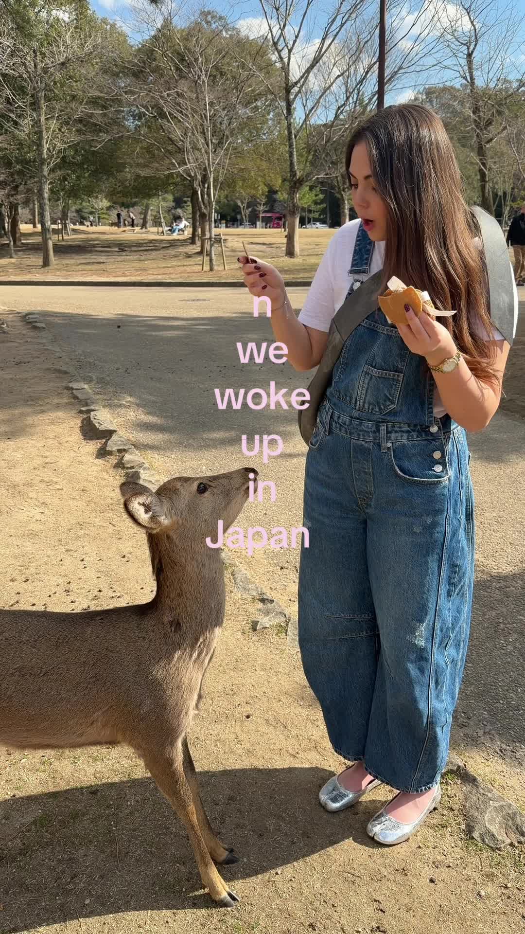 @Isabella Summer