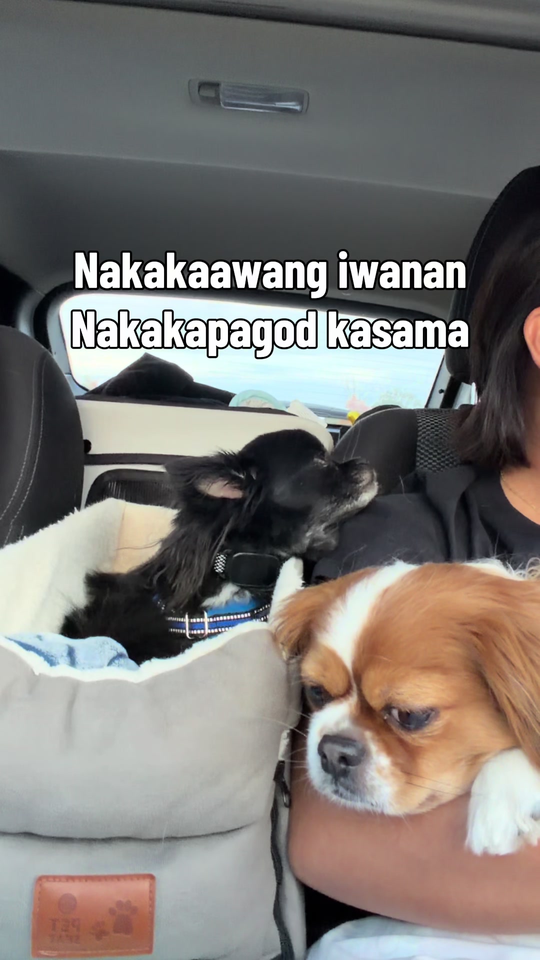 @BAJ in Canada 🇨🇦🇵🇭 (only)