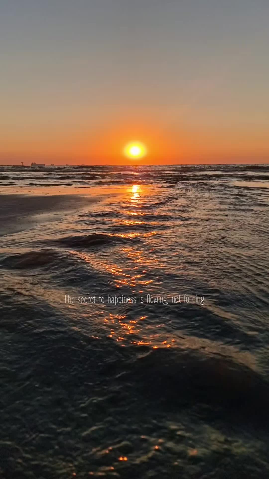 @Sylvana 🇳🇱