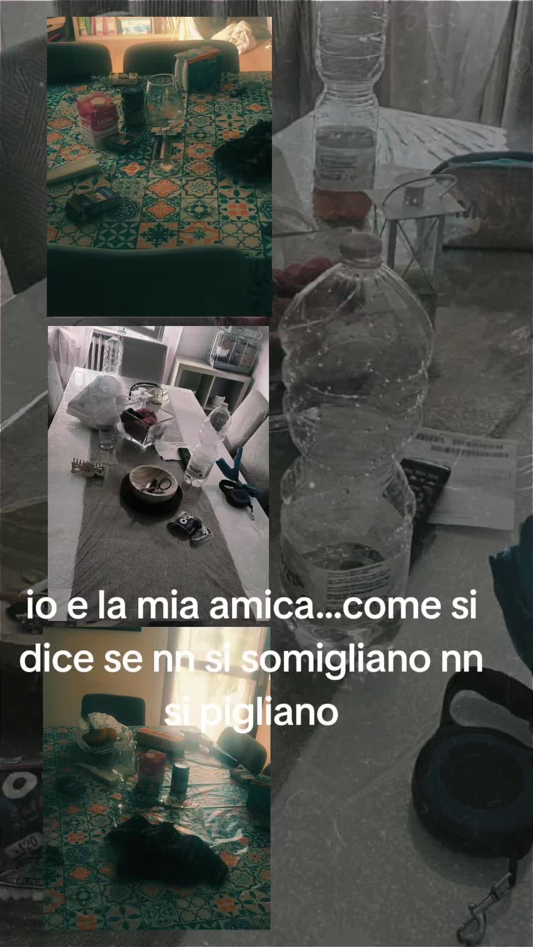 @DanielaMiranda🌻🌻🌻