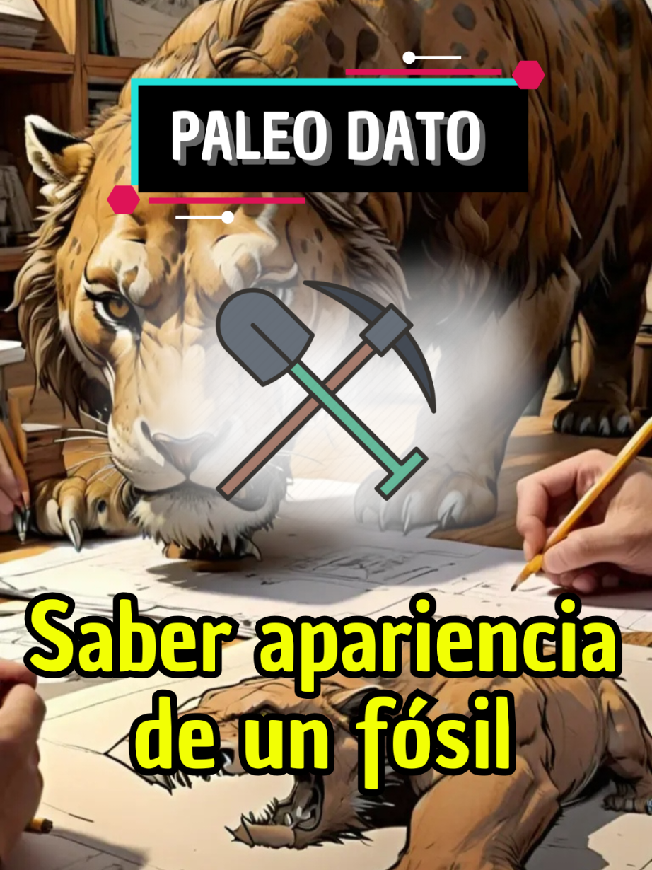 @eocenito