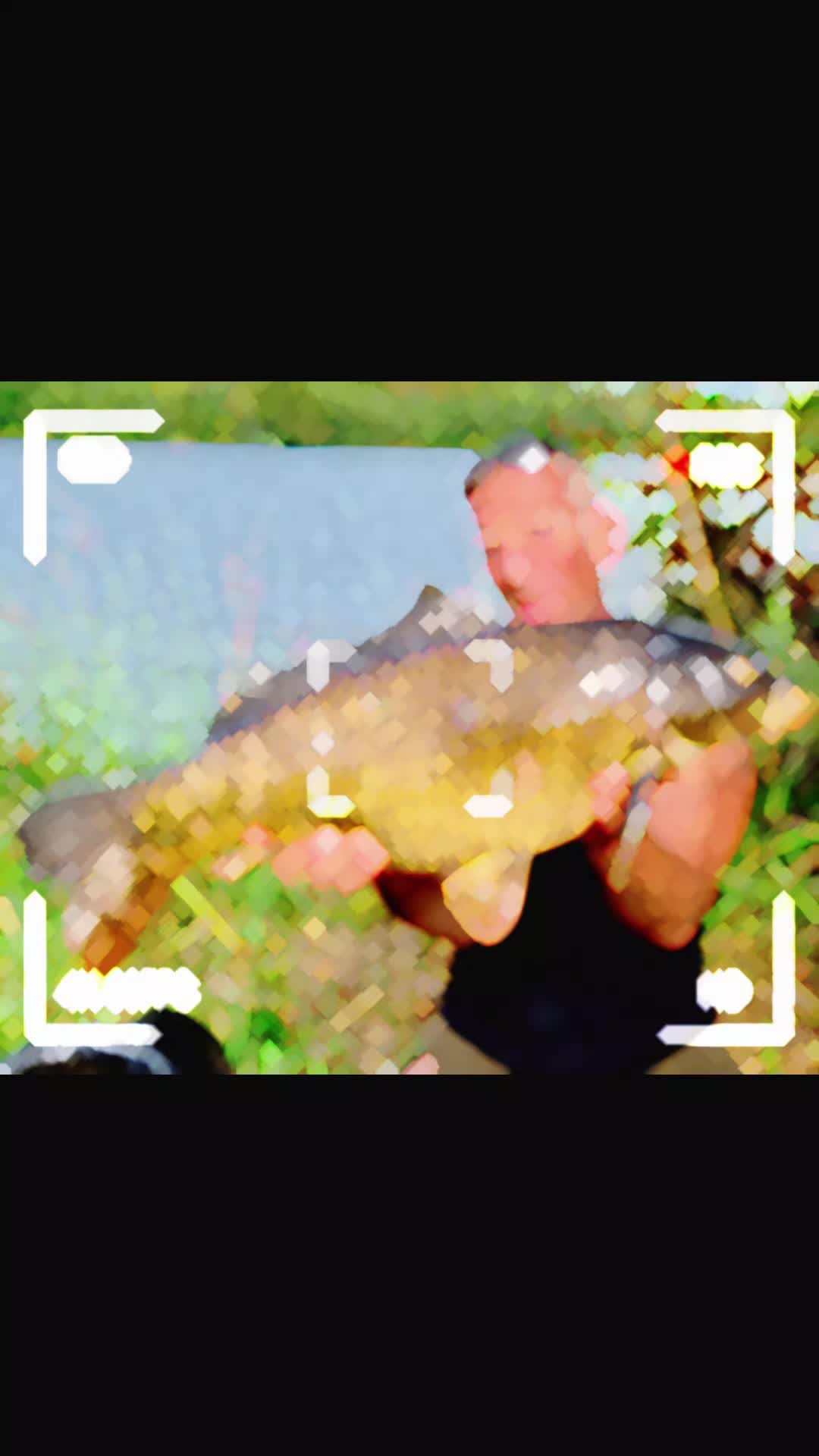@BIO BAITS