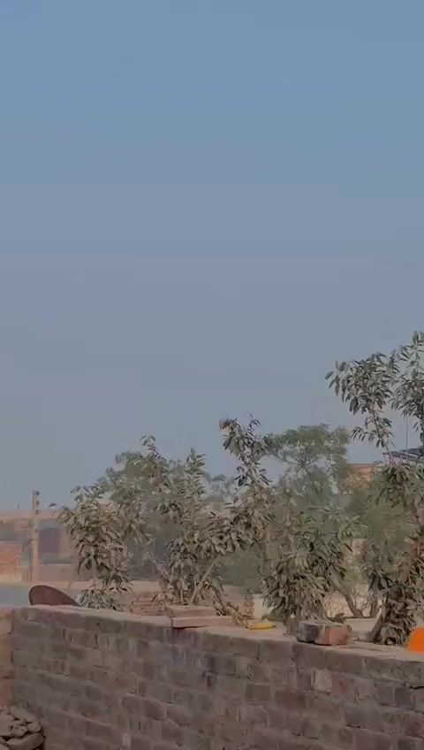 @🚩راشد ڈوگرججل آلہ🚩