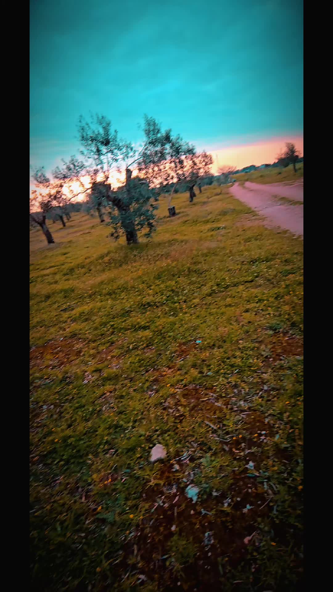 @Nico Bevilacqua