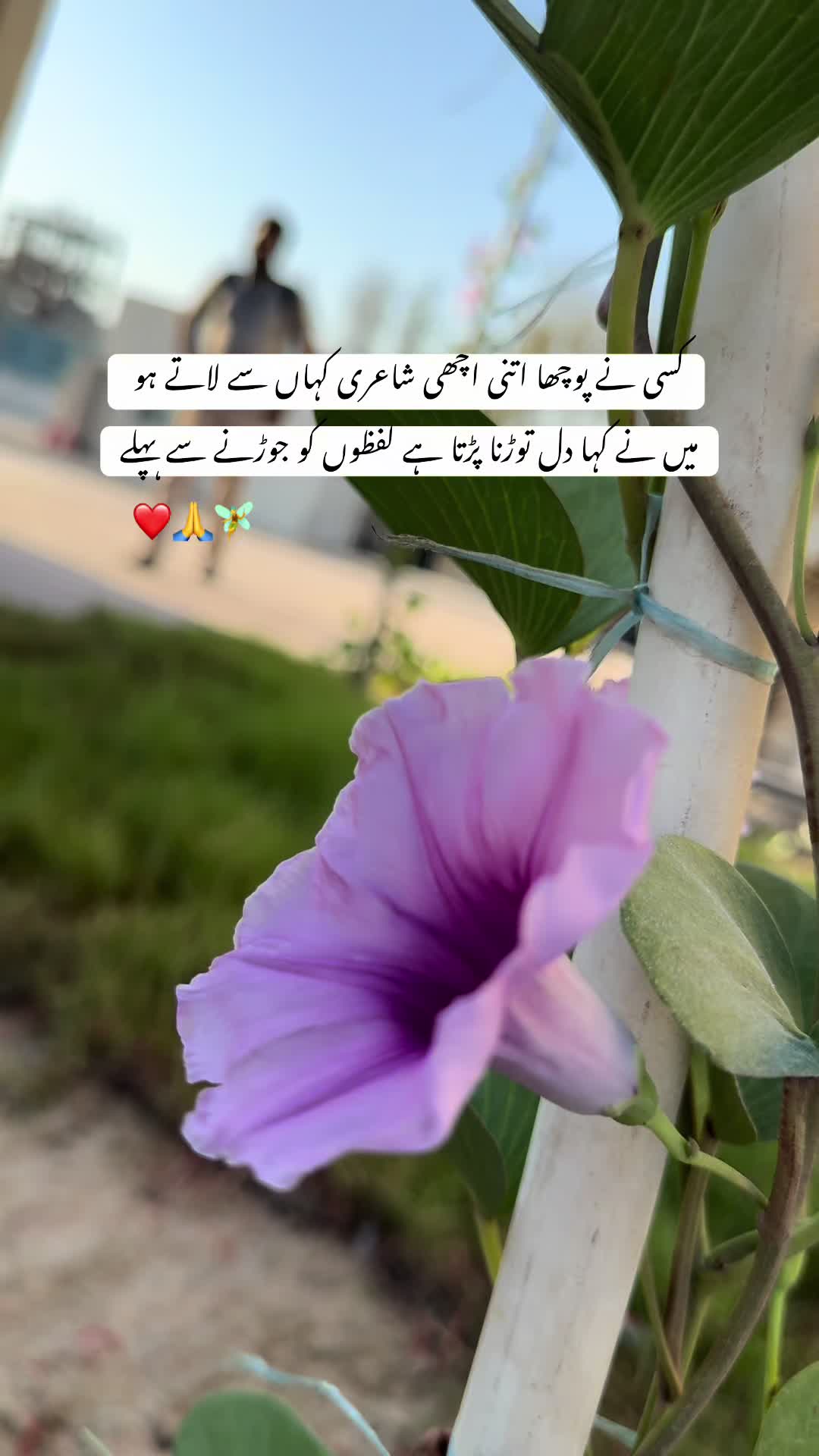 @Black and white Duniya 💔