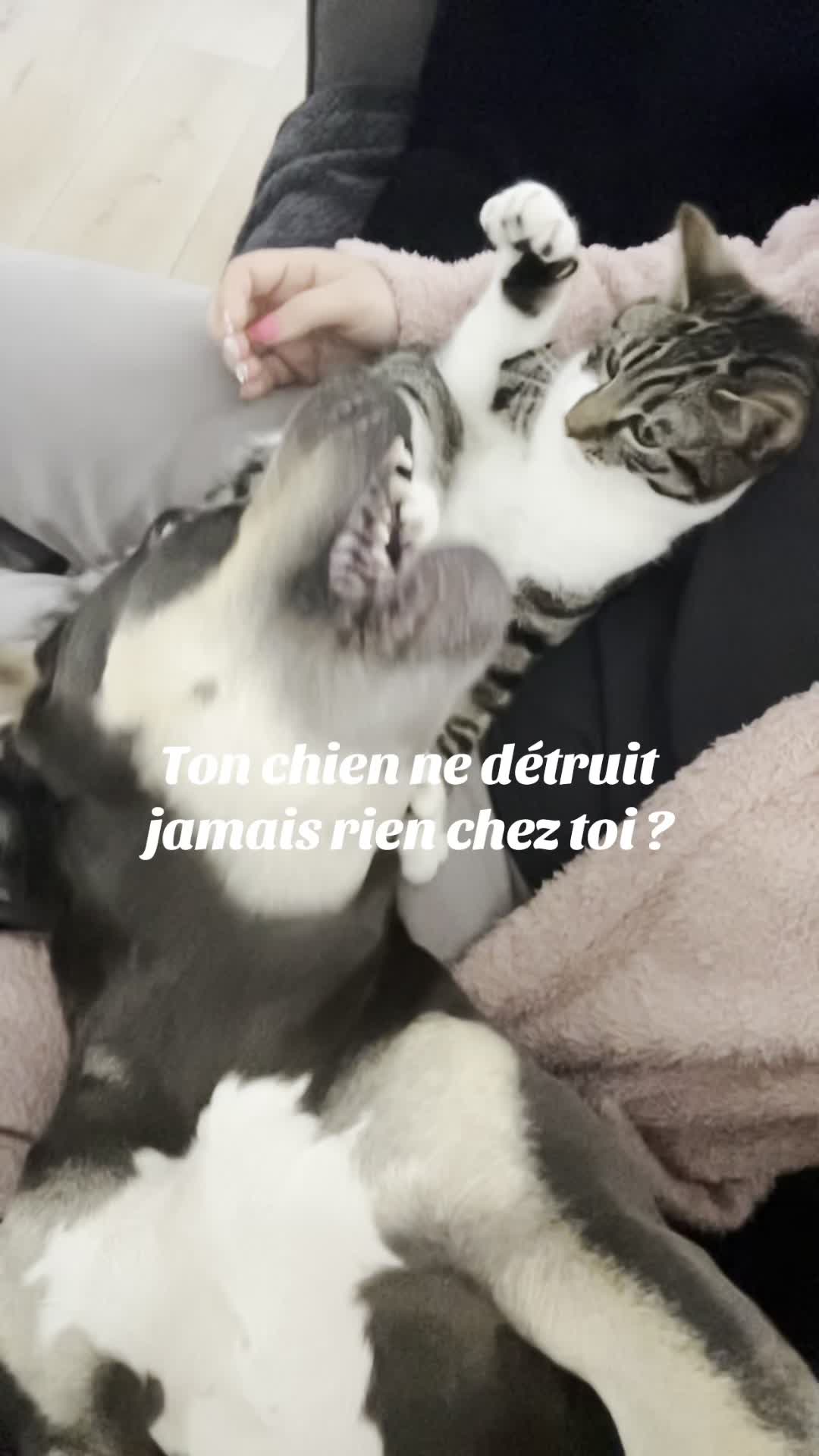 @L A N A