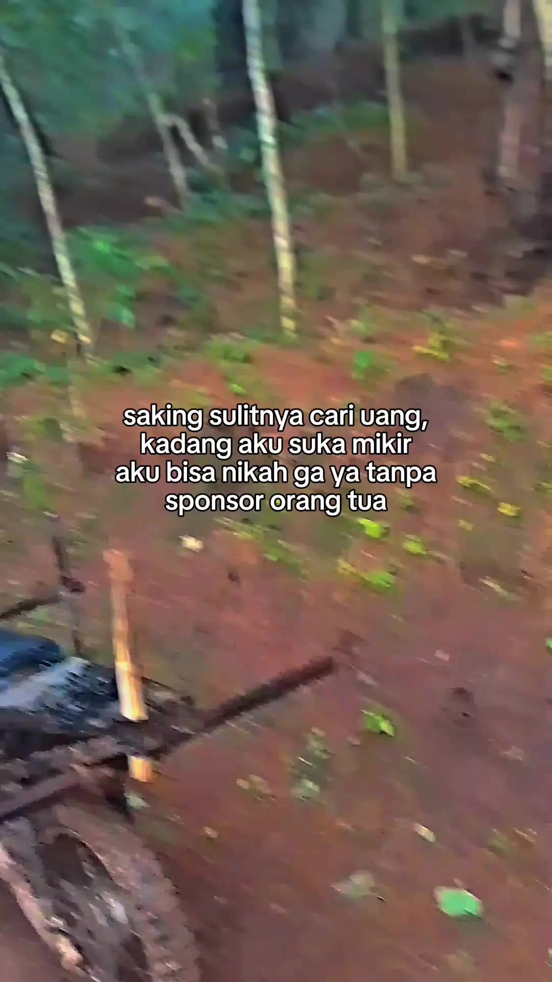 @sobat logging Xpress