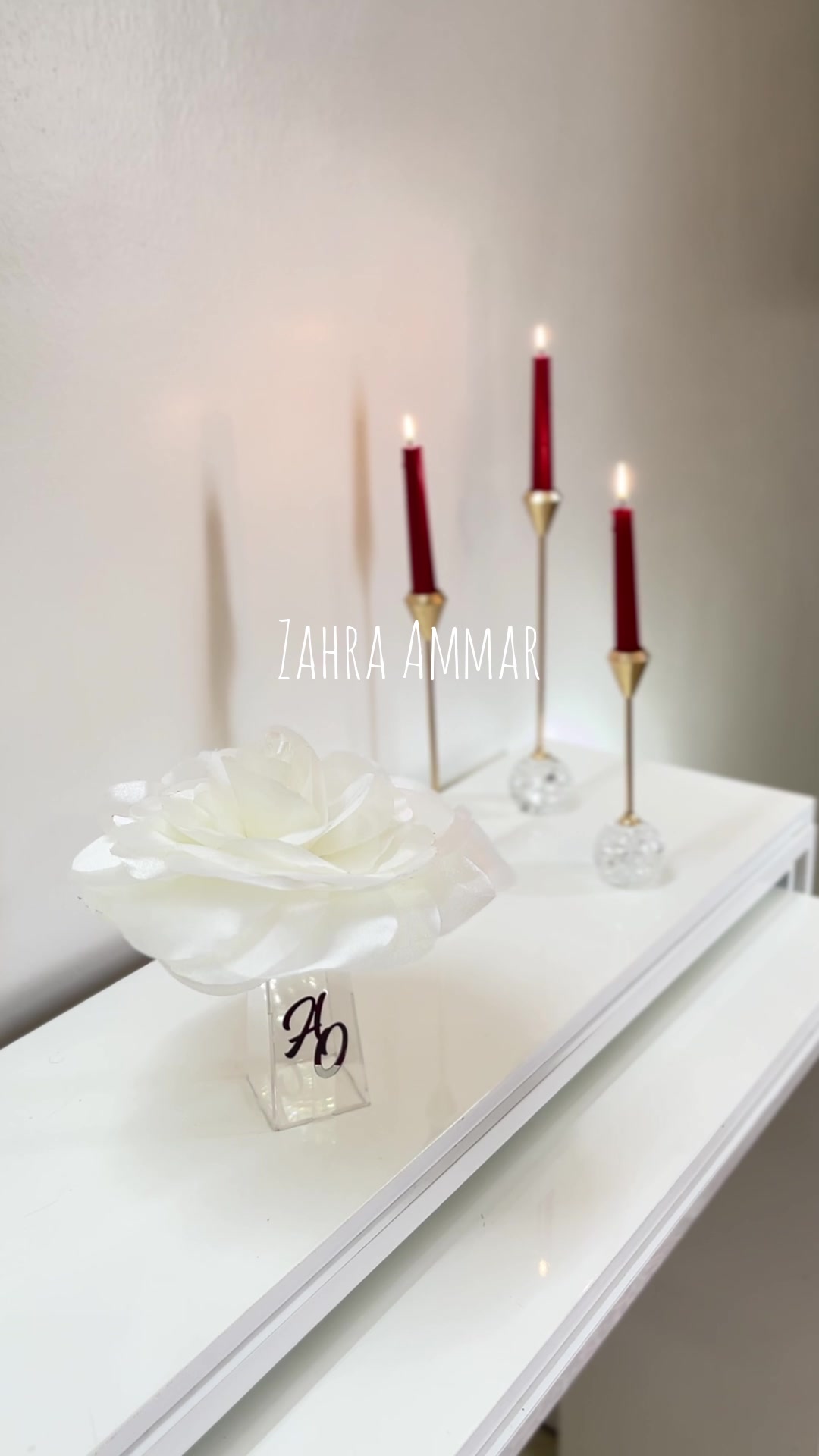@Zahra Ammar