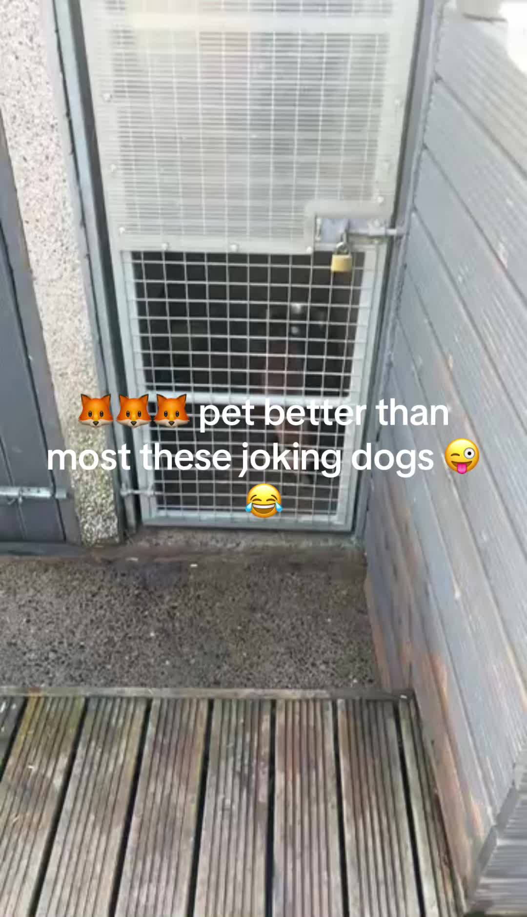 @phatz1990