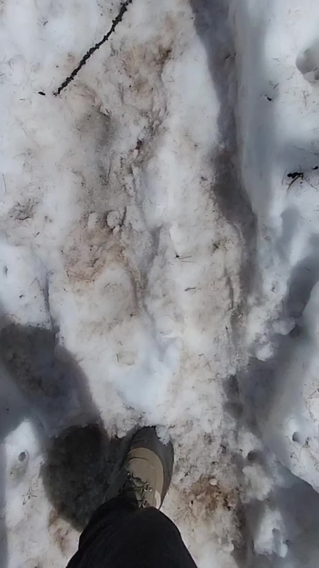 @wolfthebest