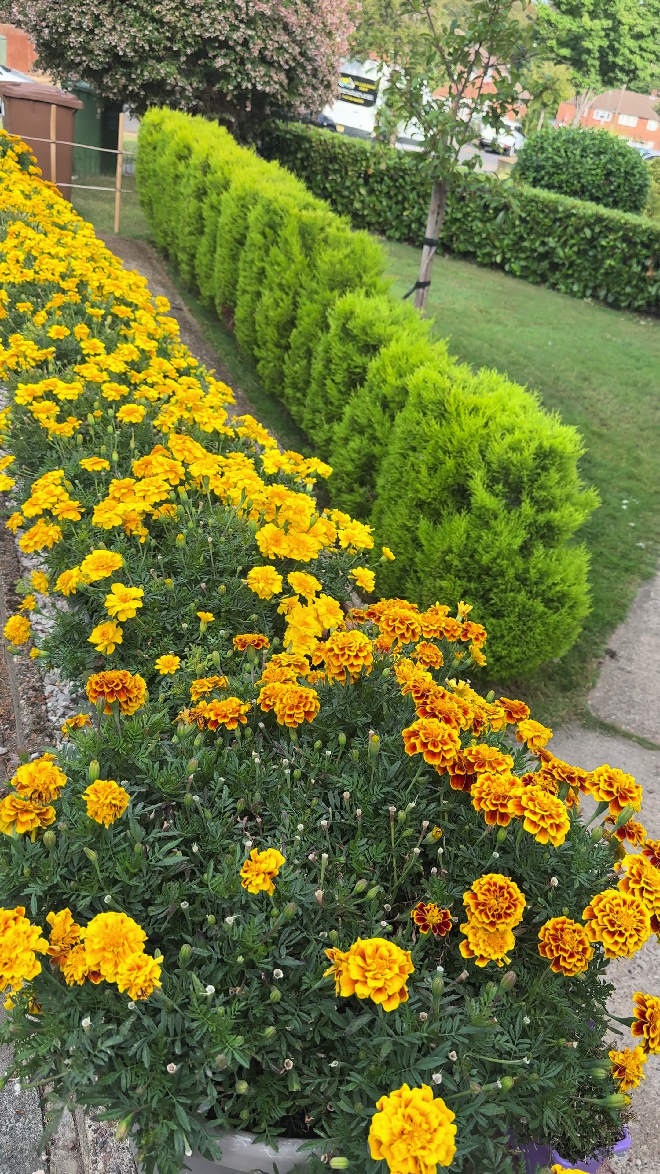 @User Pandey