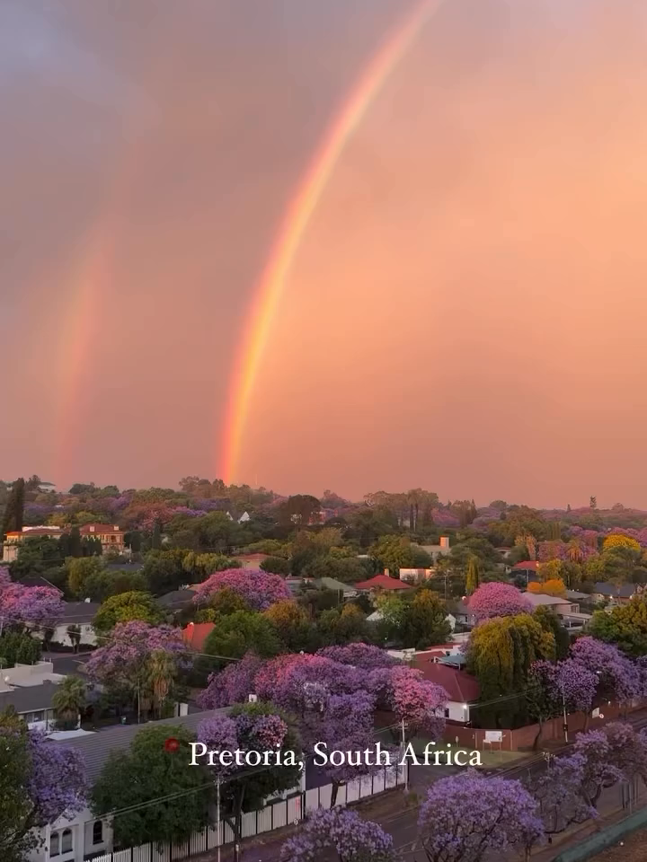 @South Africa UK