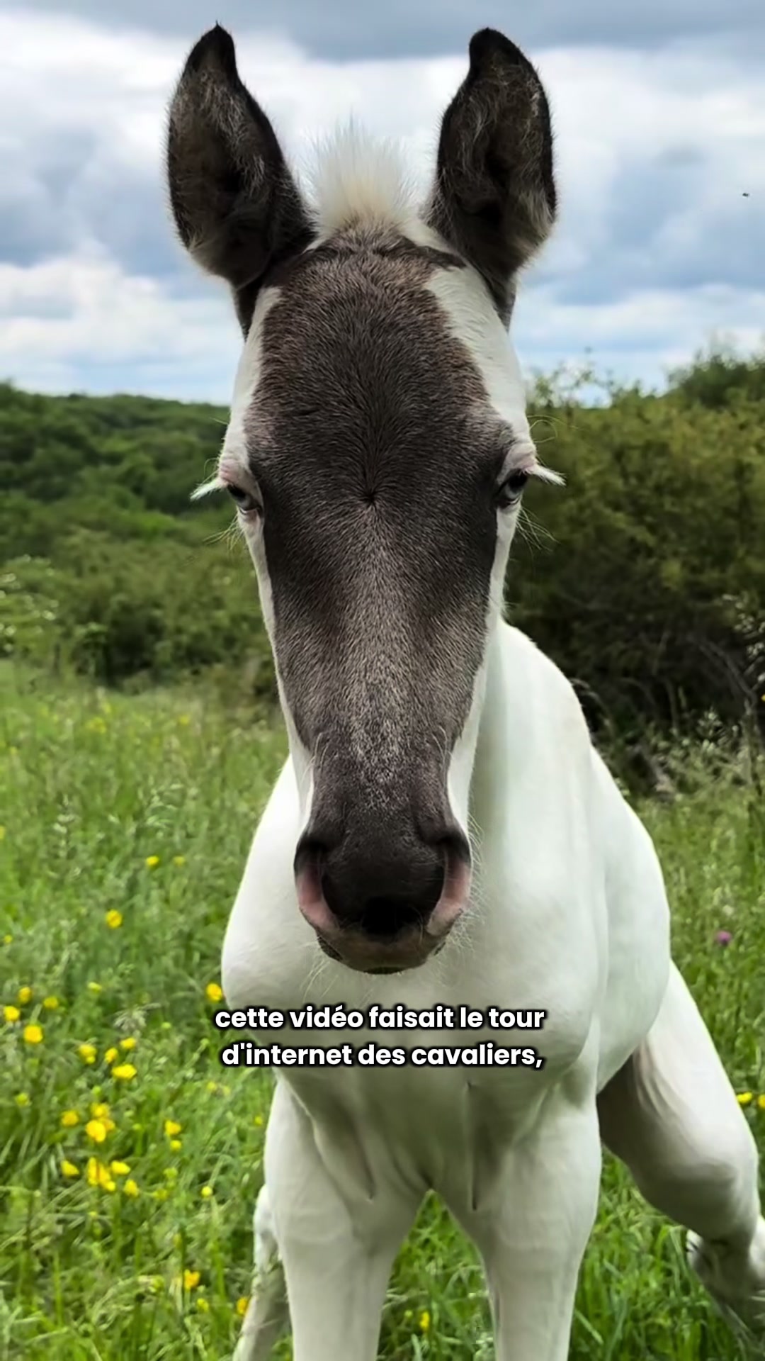 @Mathilde & ses animaux🌼