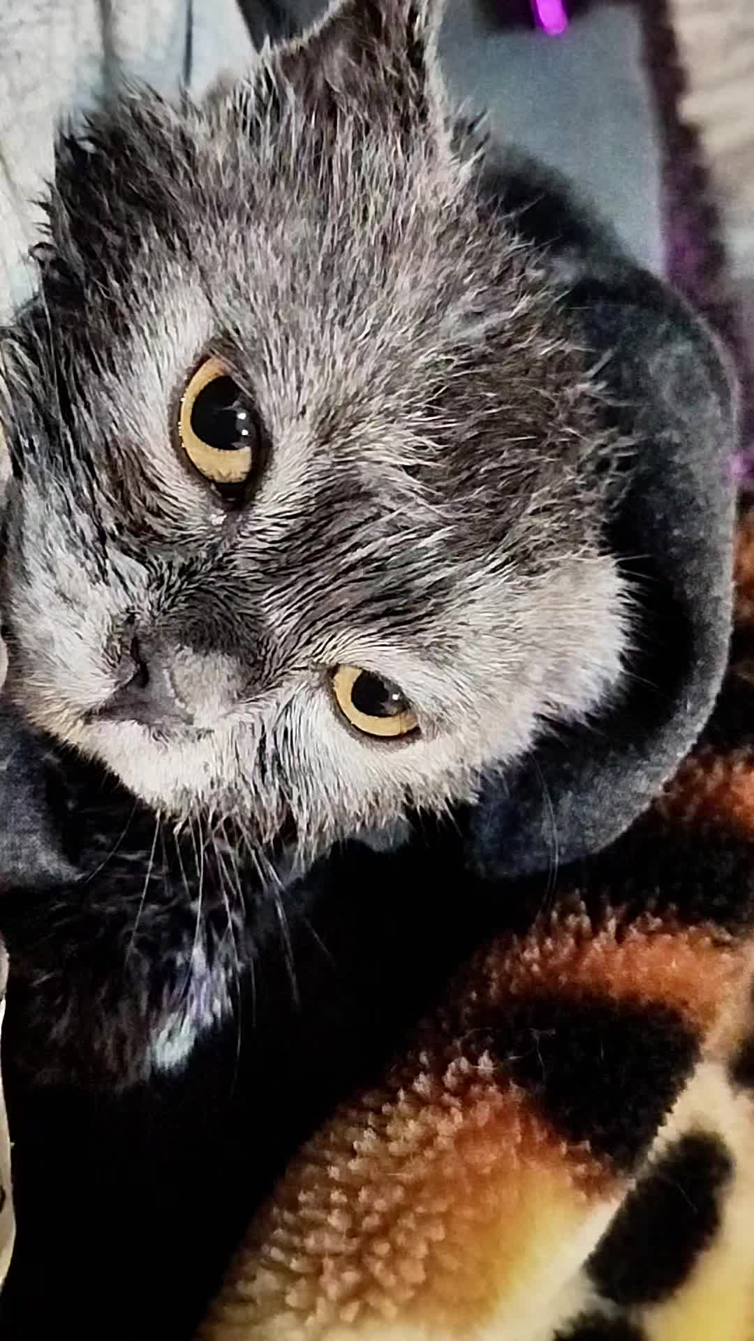 @😻Риччи&Джесси🐈Масик👼&Андрей