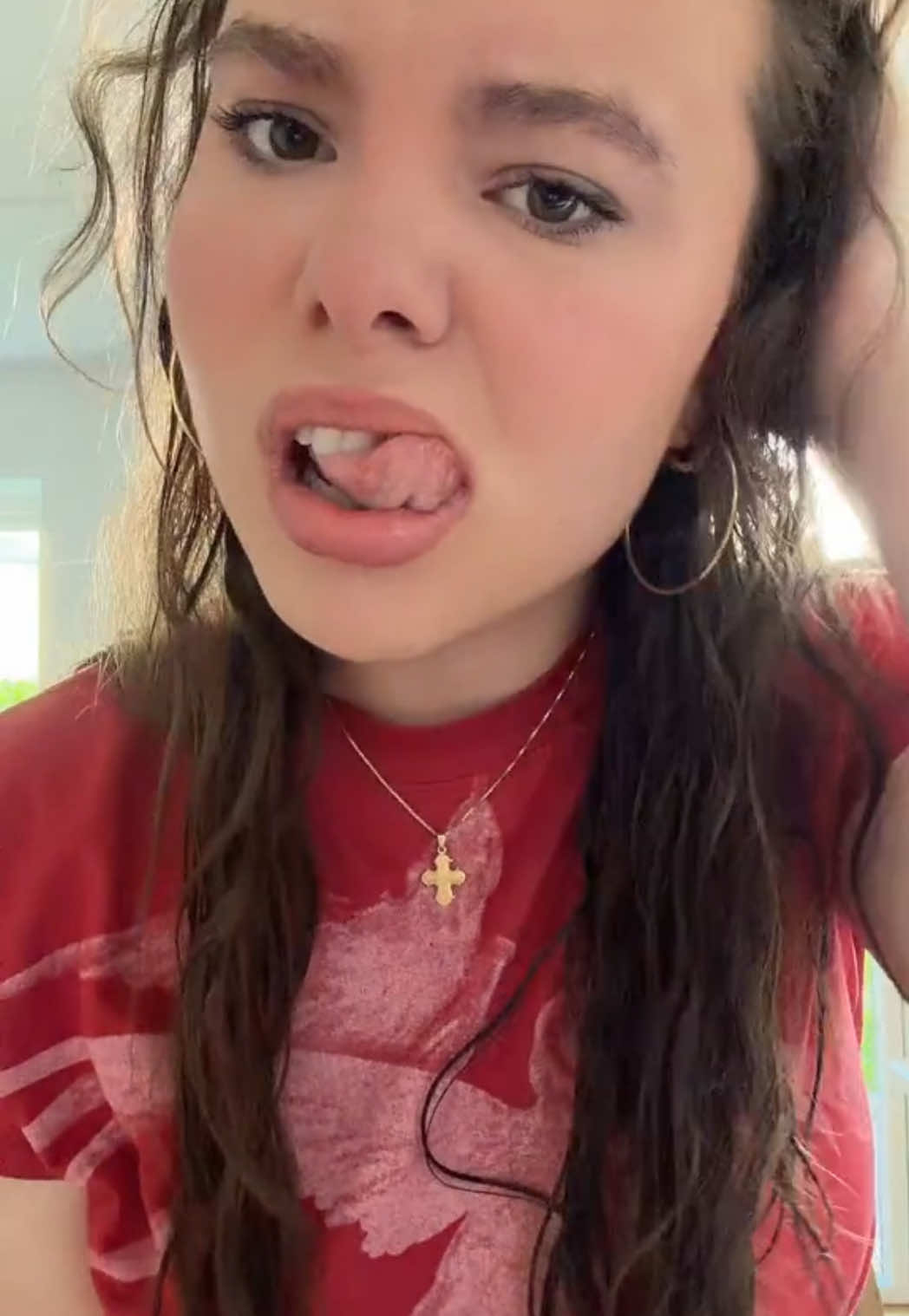 @sillebeb😸