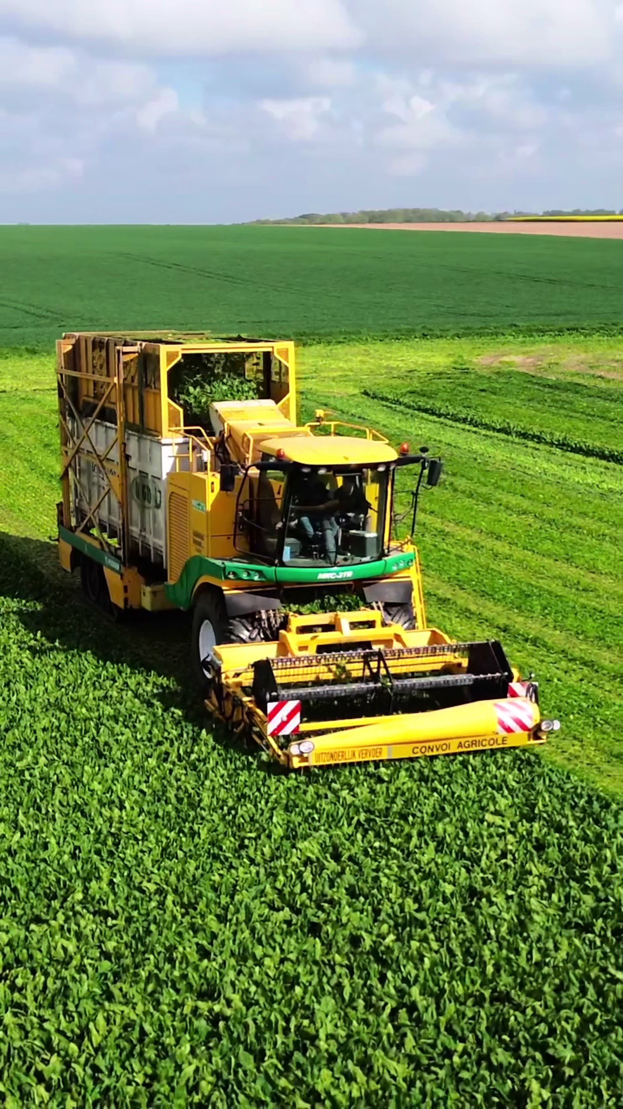 @Hugo_farm