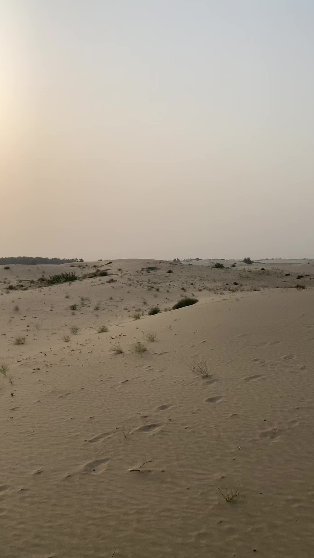 @شیرگڑھ تھل💫