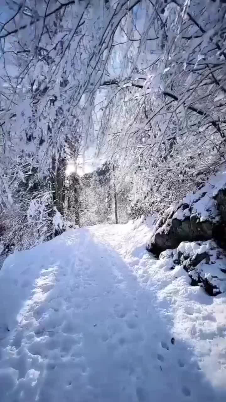 @Muhammad.riaz27