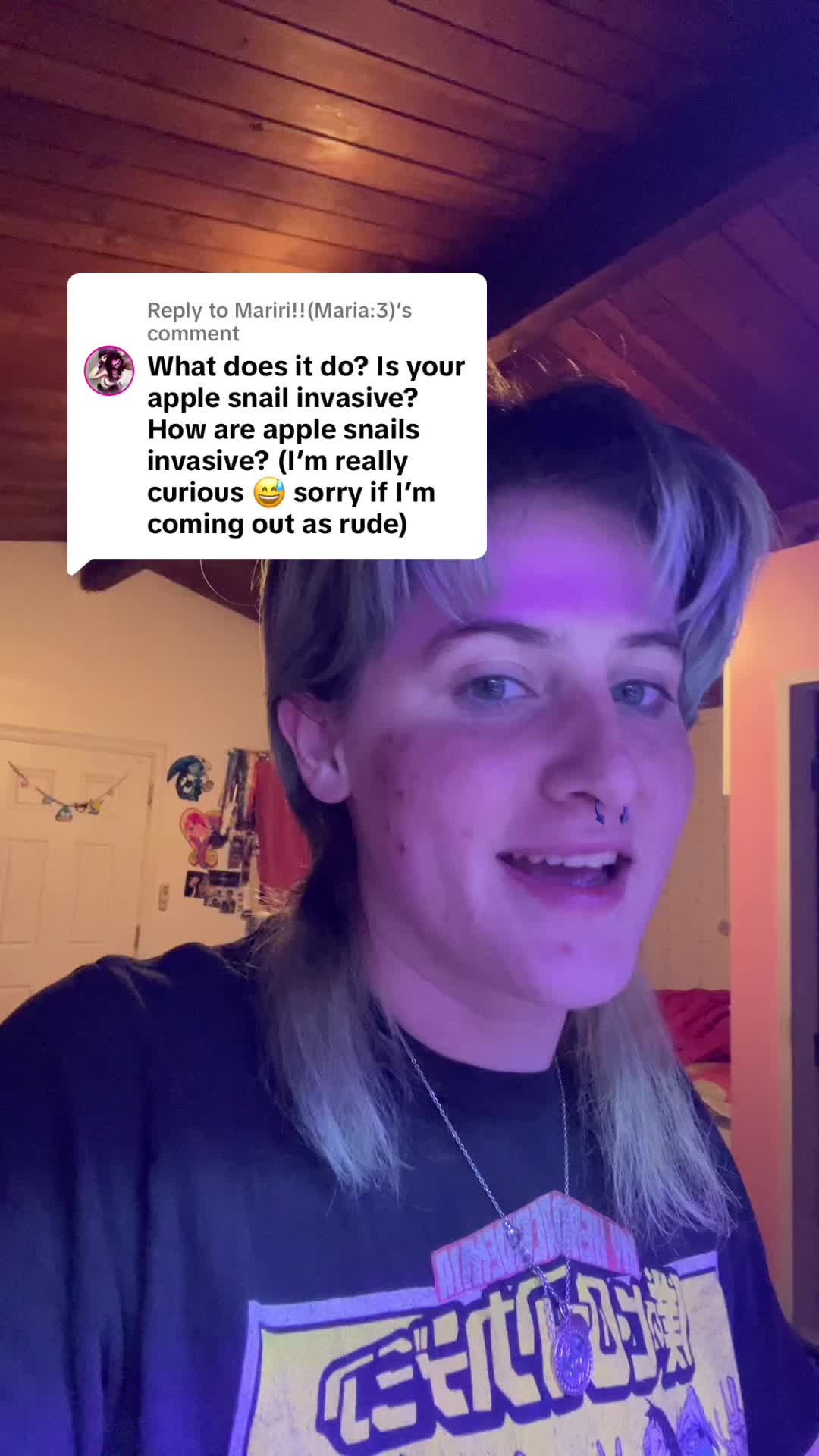 @Discord
