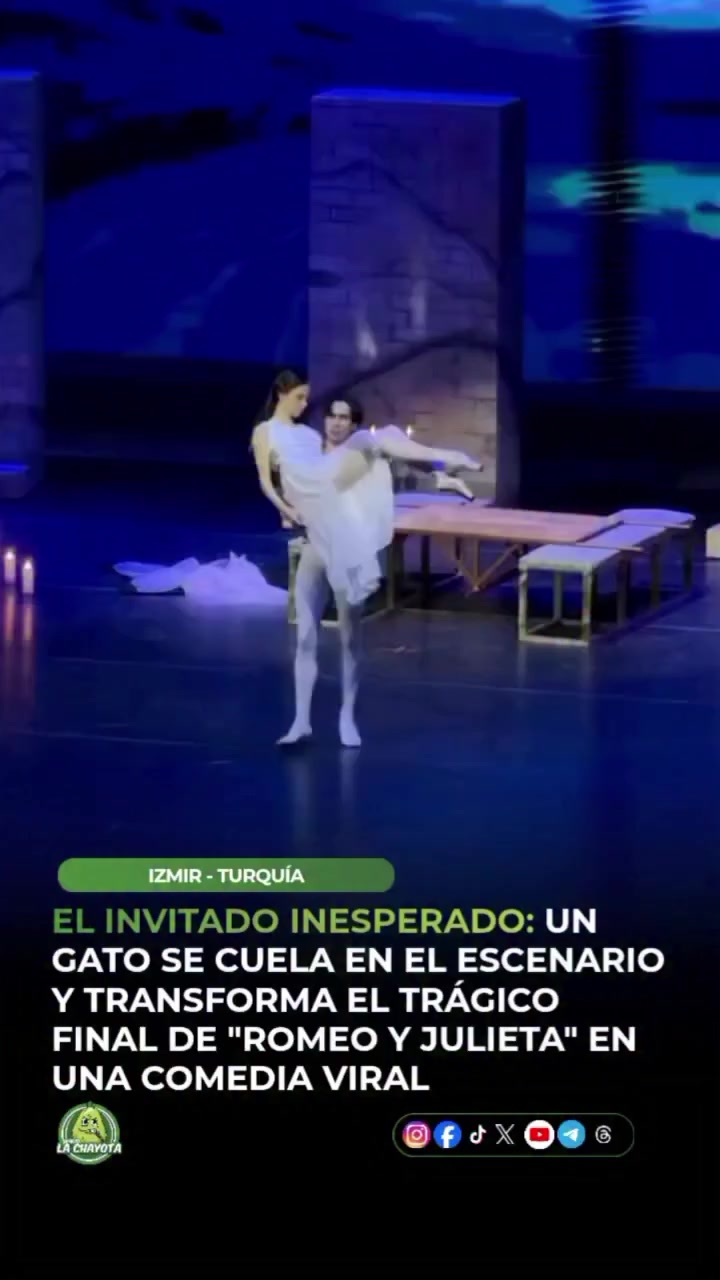@Viviana Calabrese