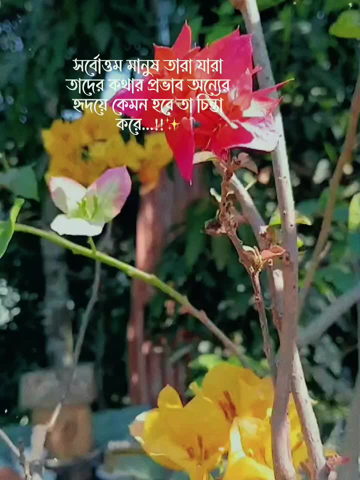 @Billo Rani 👸 🦋
