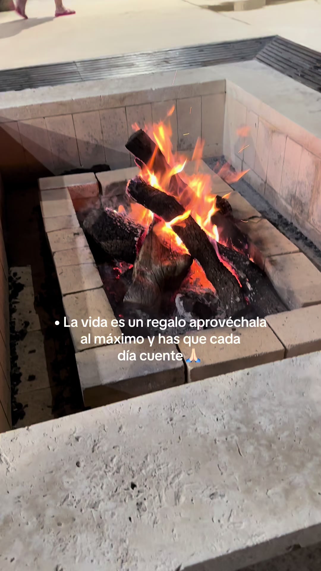@Ruche_Reafinado 🤠