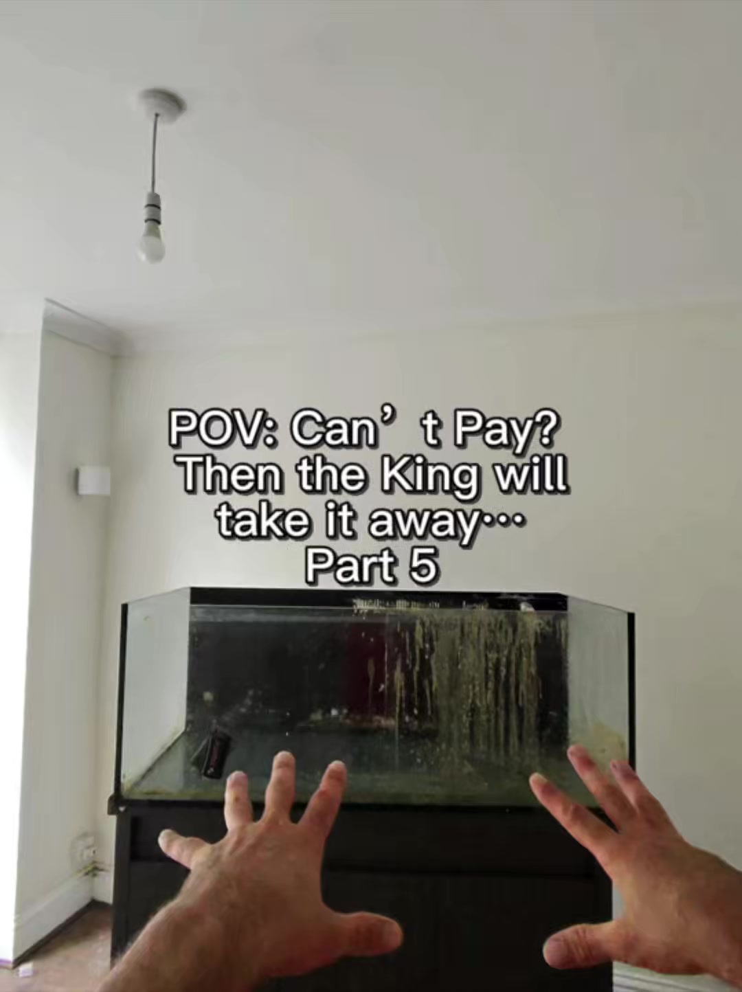 @The King of Coral