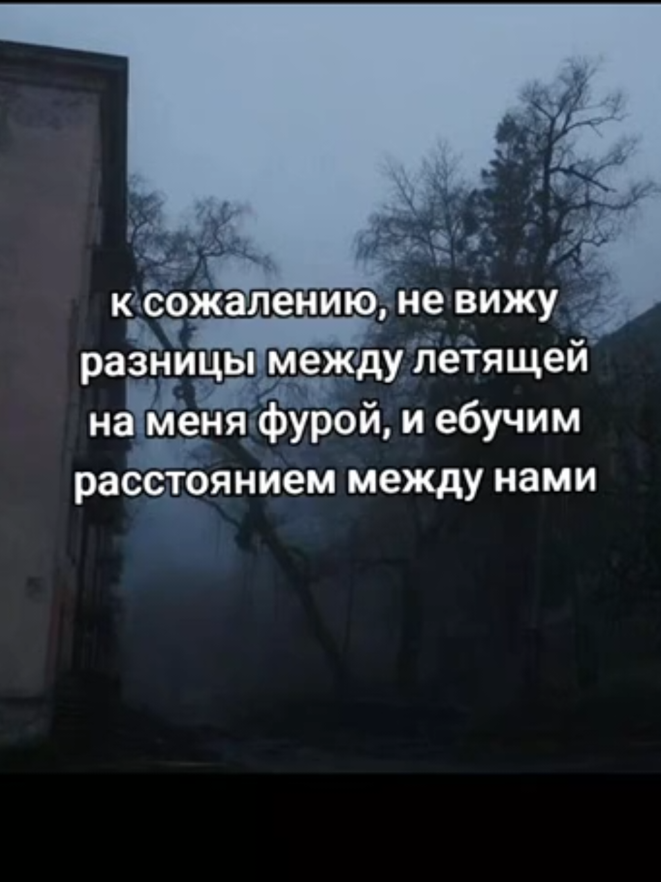 @#will-щп
