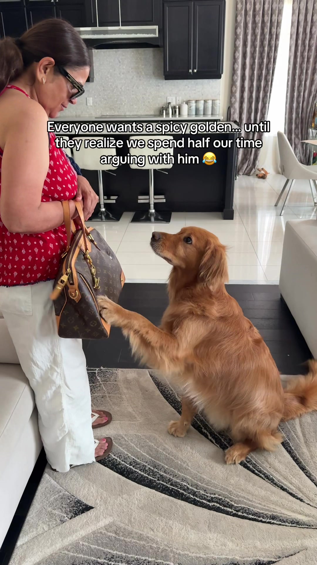 @Bentley the Spicy Golden🌶️