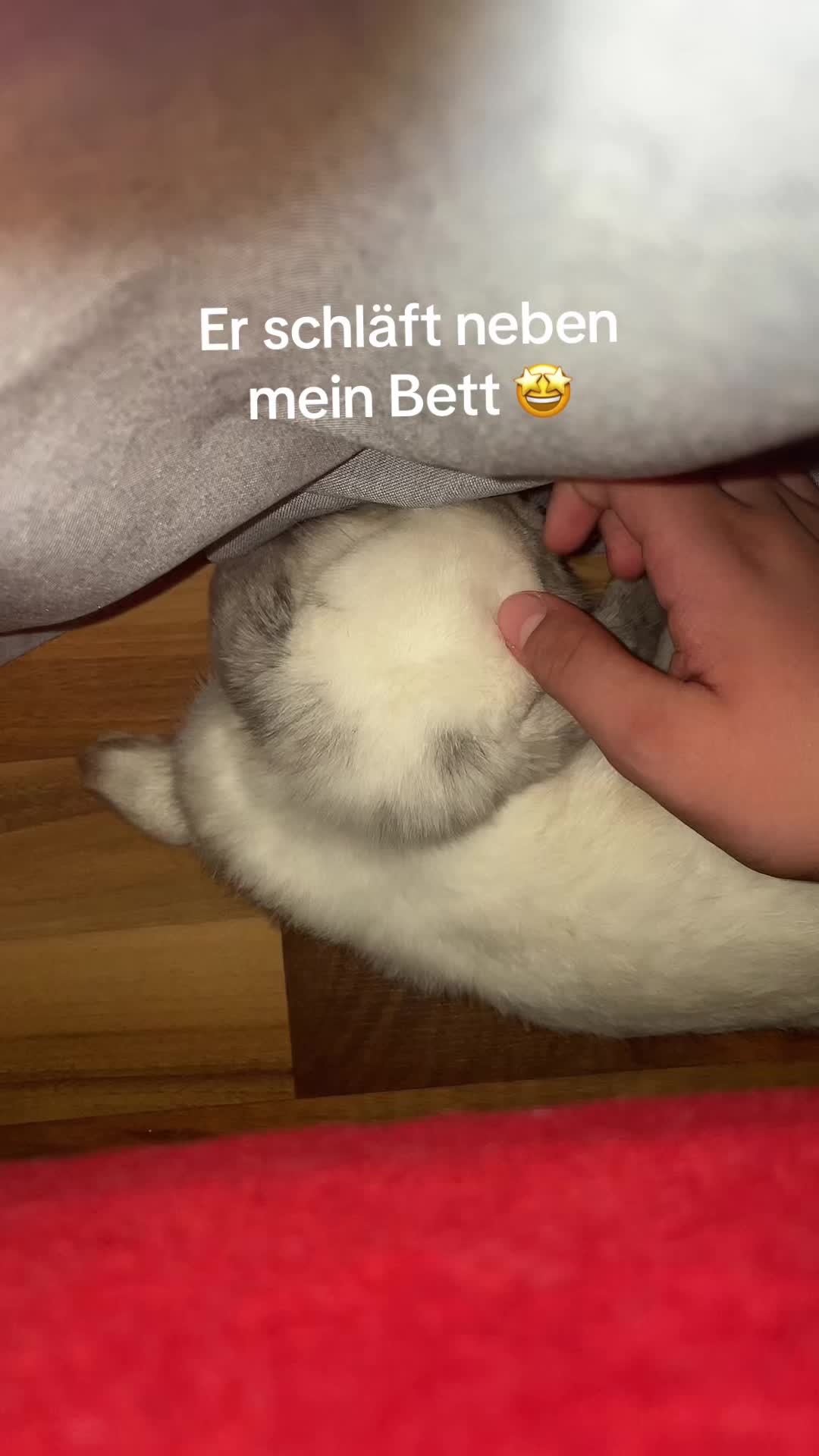 @cahit_š²š¦š¹š·
