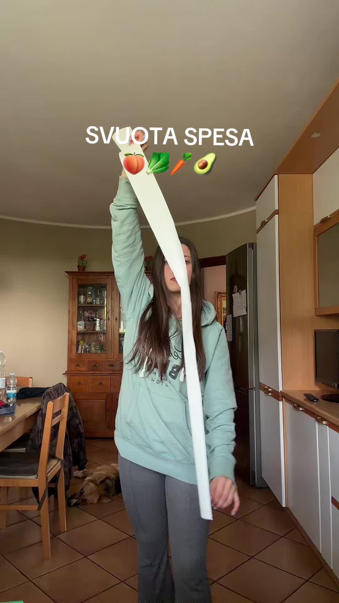 @_lafox_🦊