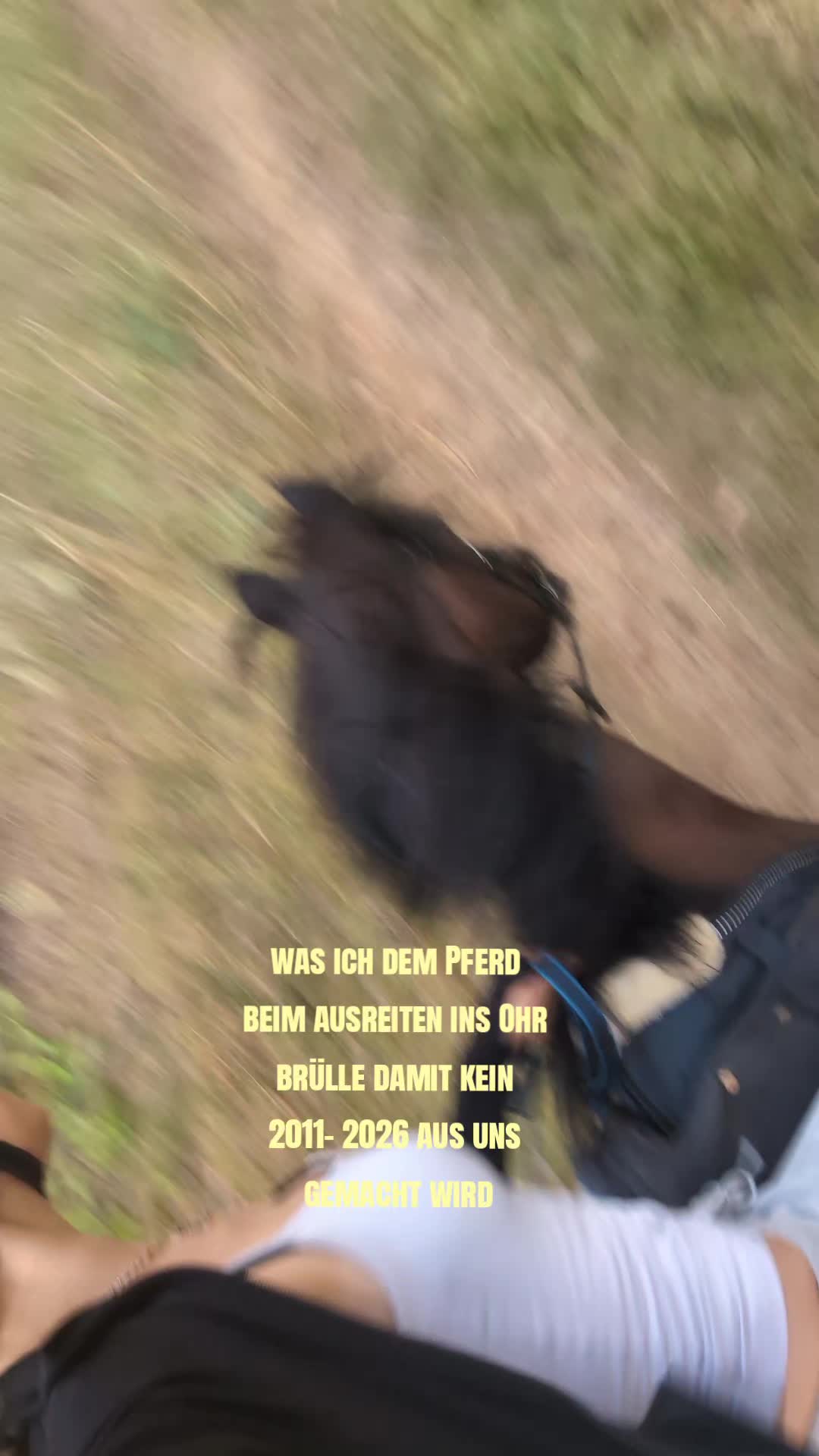 @hxnnxh_nbg