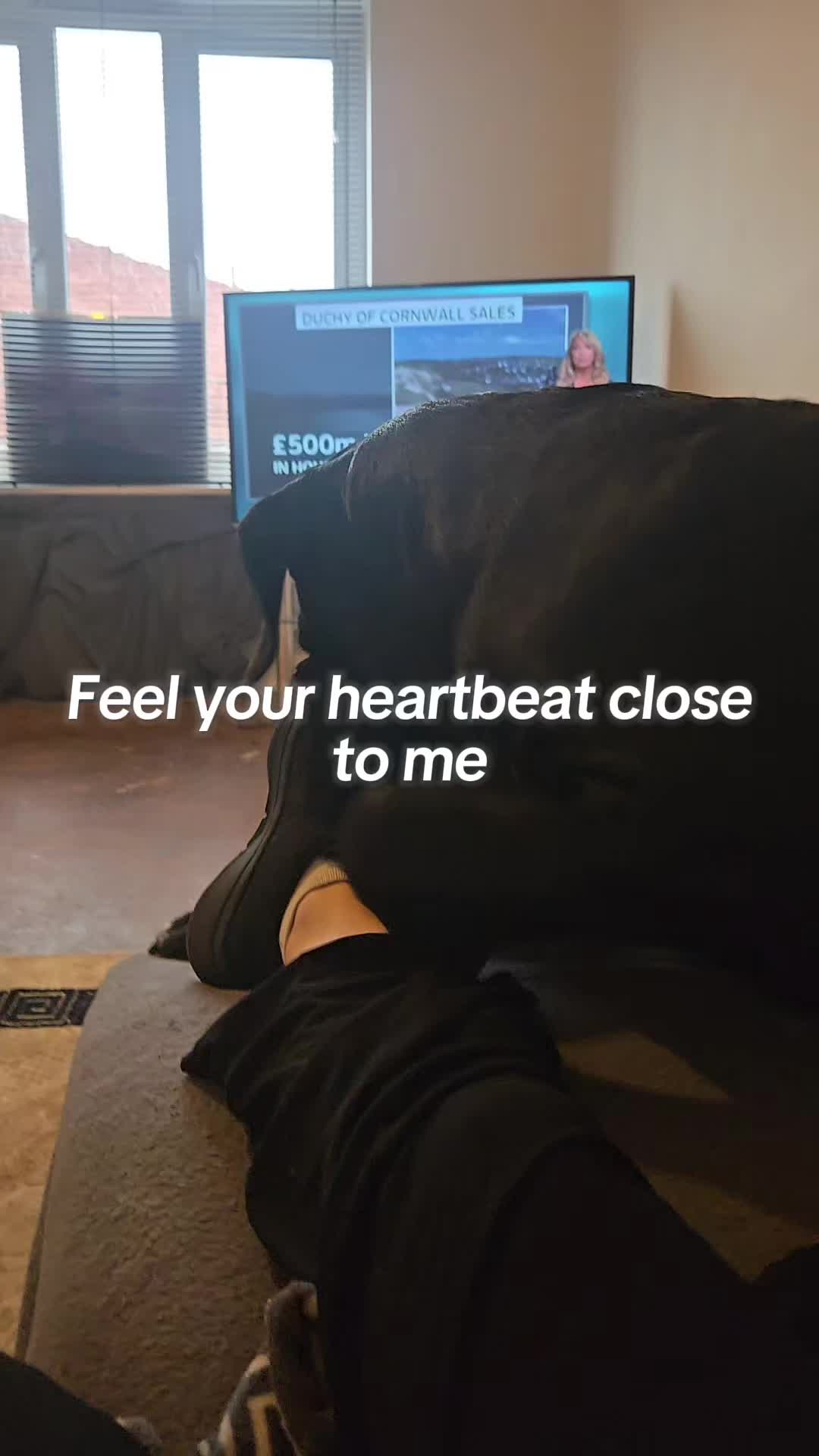 @limp