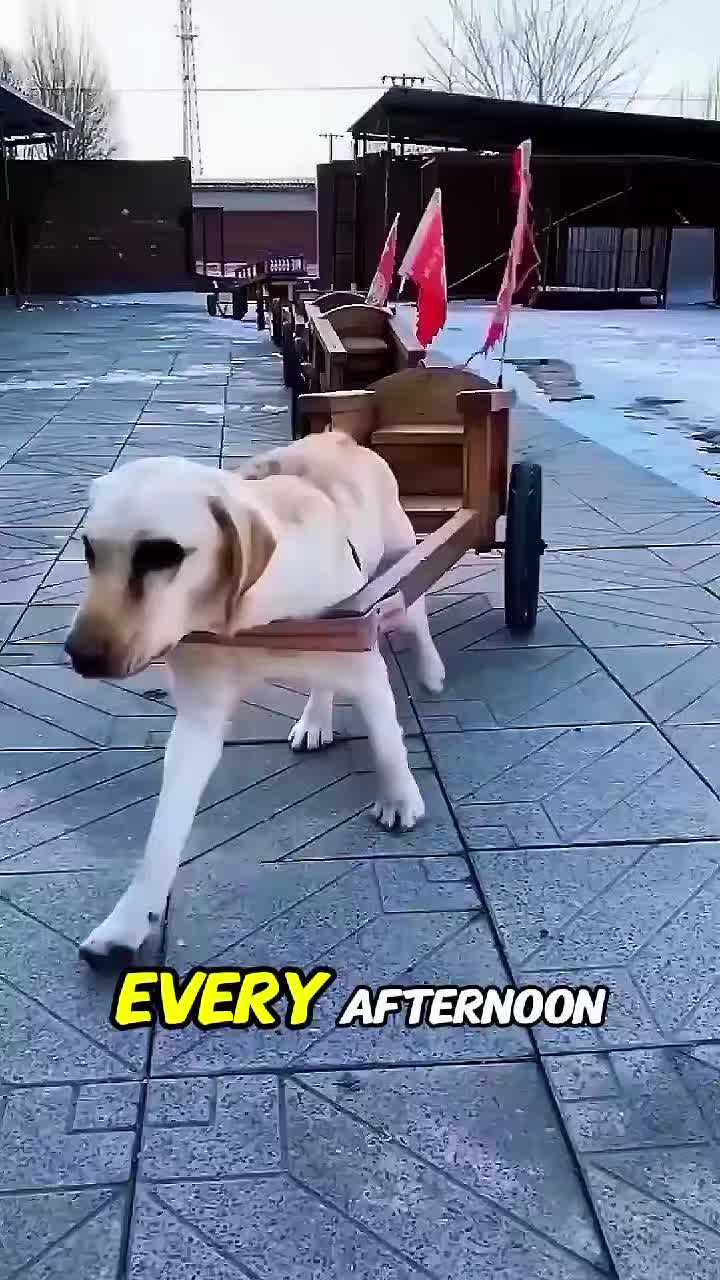 @Charge