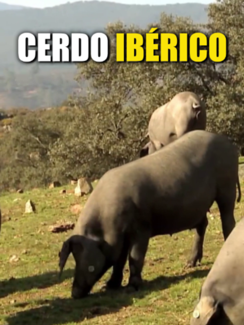 @Blog Numismático