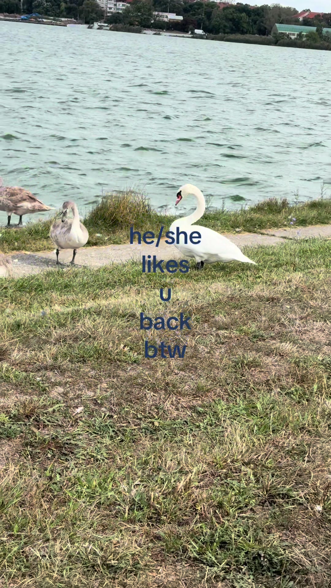 @𝐀𝐍𝐍𝐀𝐁𝐄𝐋𝐋𝐄 ⊹ ࣪ ˖
